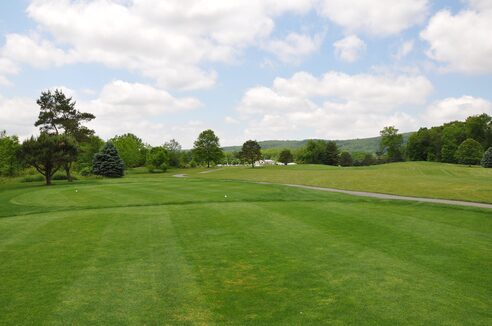 Wedgewood Golf Club photo