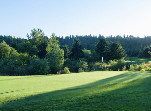 Willows Run Golf Complex - Heron Links photo