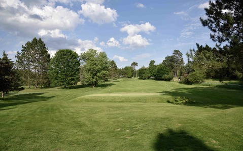 Ye Olde Country Club photo