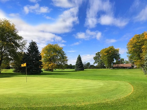 Zigfield Troy Golf photo